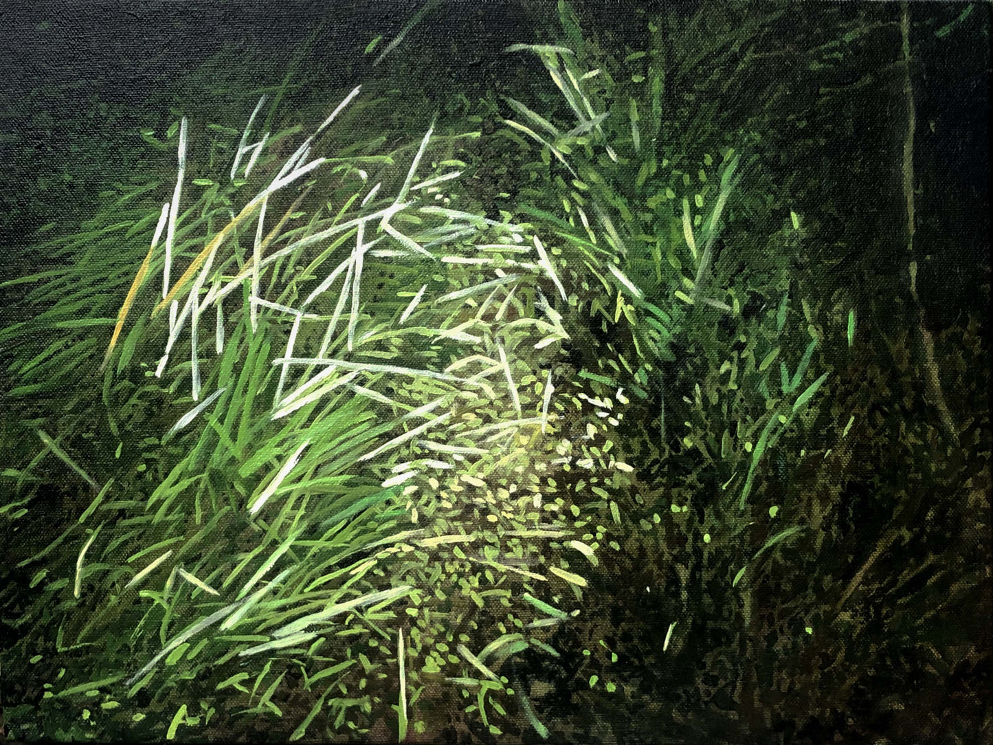 The Circle of Light at my Feet I original Canadian art by David Kaarsemaker