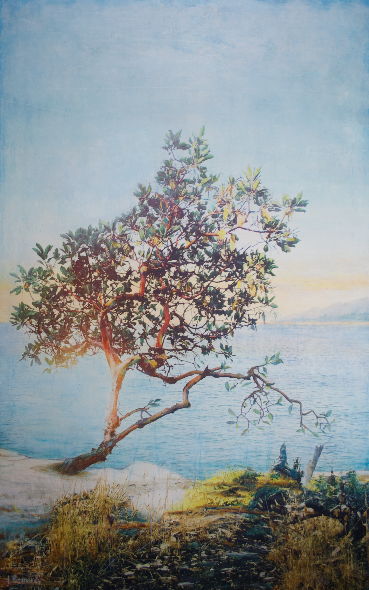 When The Edge Beckons original Canadian art by Lori Bagneres