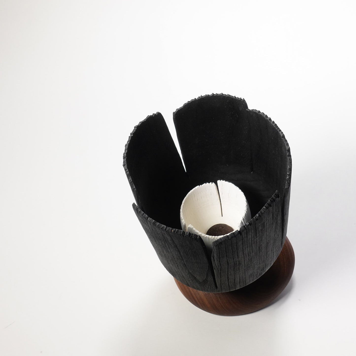 Blooming through adversity II