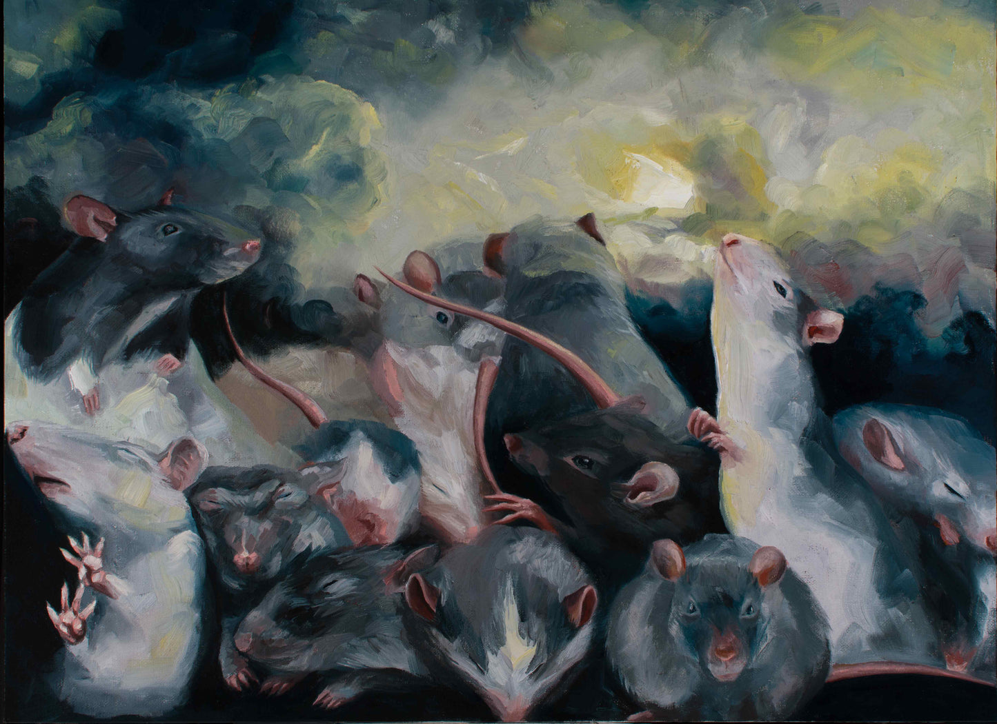 Rat Study original Canadian art by Chrystal Phan