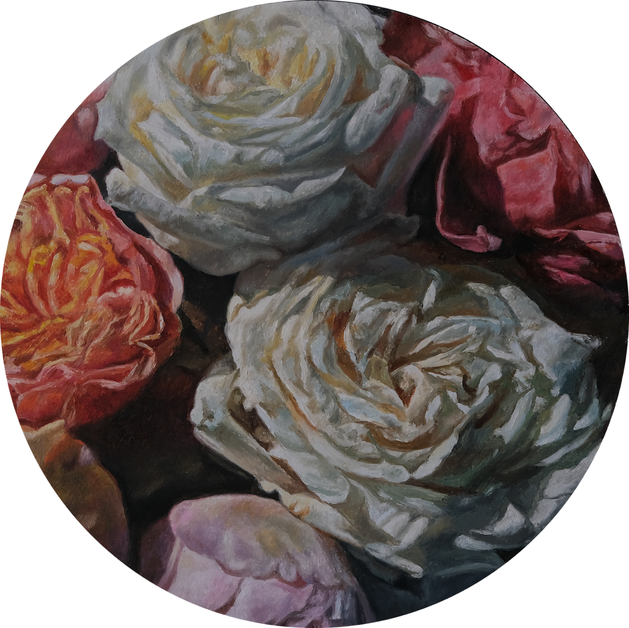 Rose Study original Canadian art by Robert Lemay