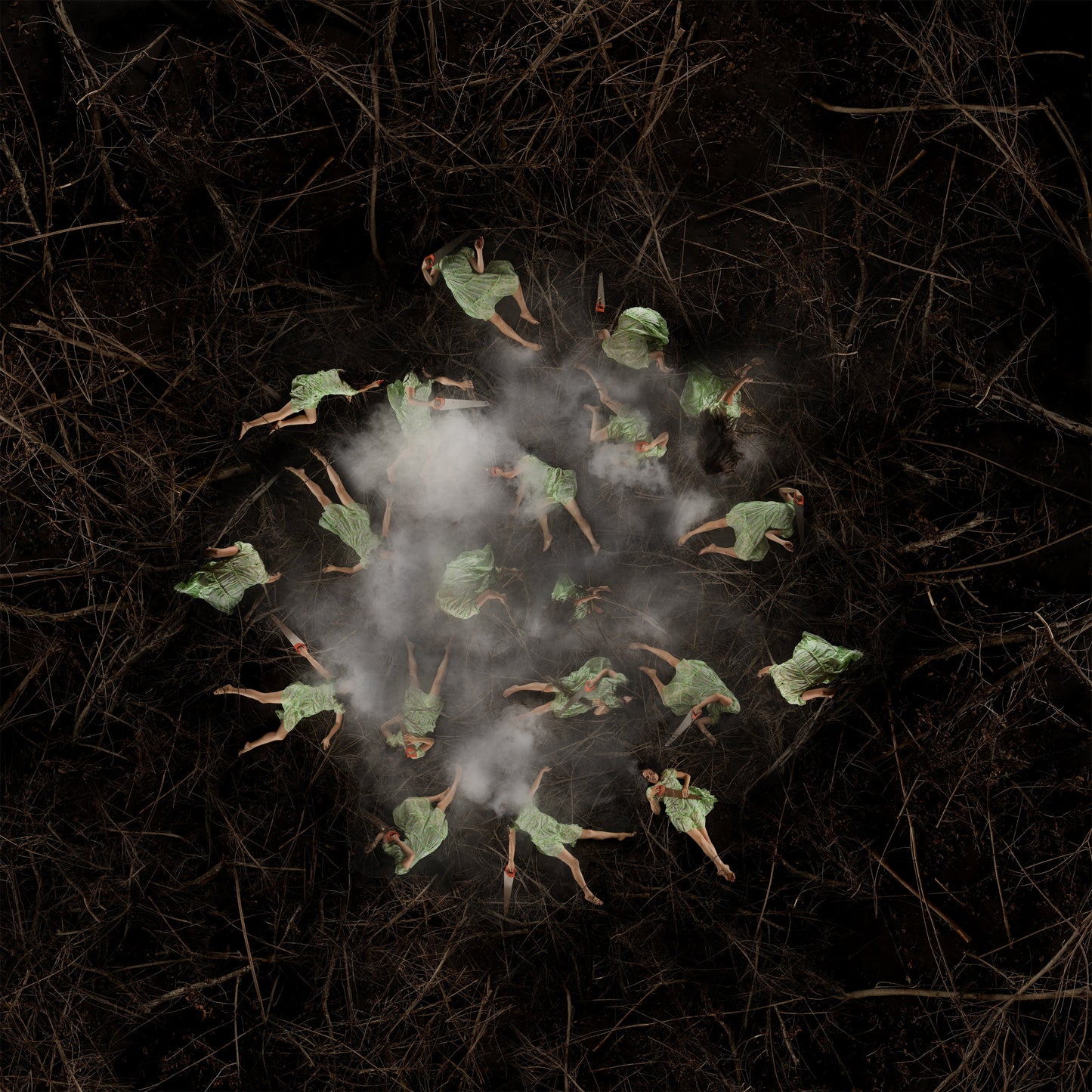 The nest 2 original Canadian art by Annie Baillargeon