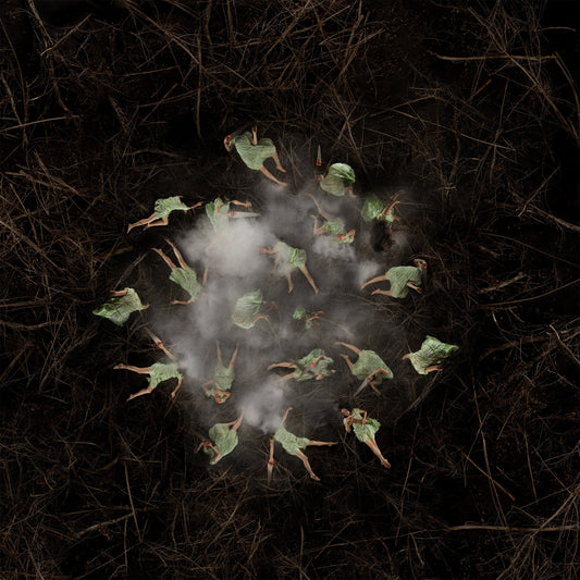 The nest 2 original Canadian art by Annie Baillargeon