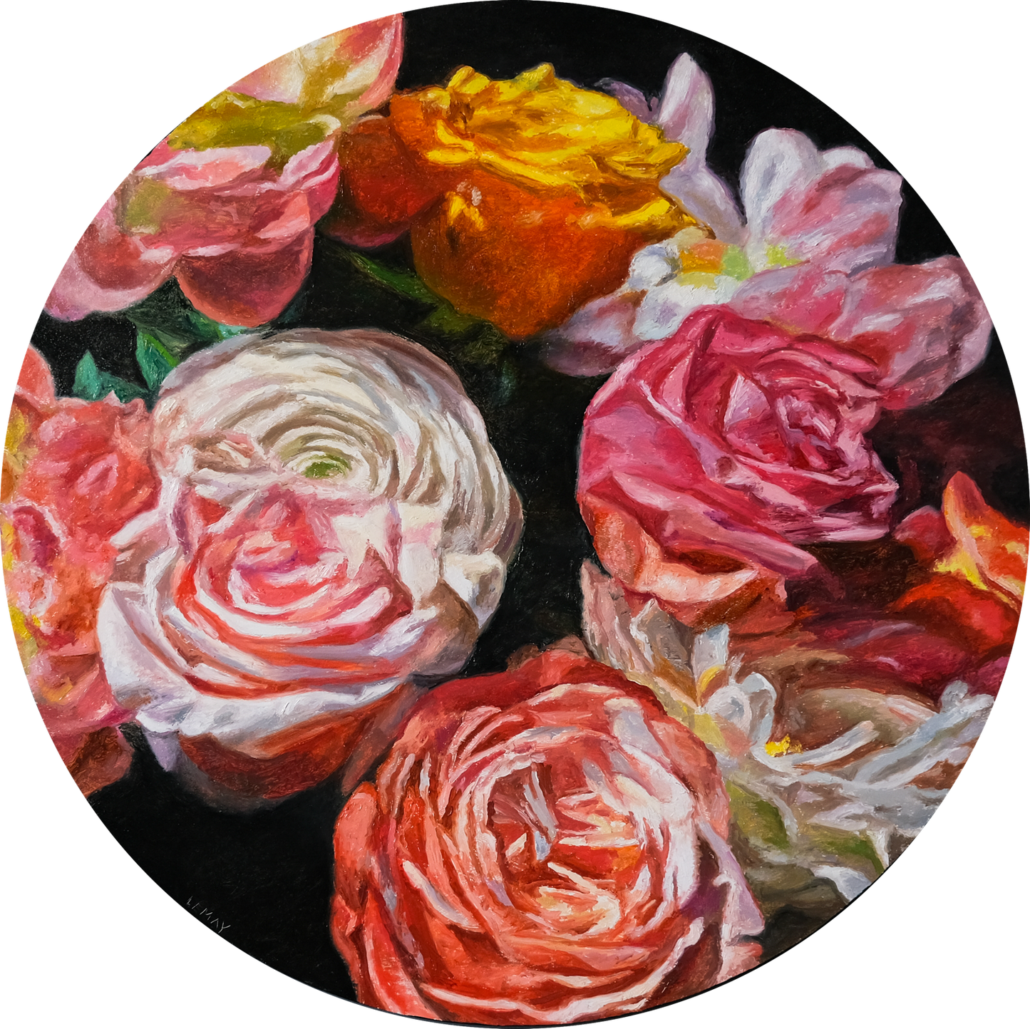 Rose Study II