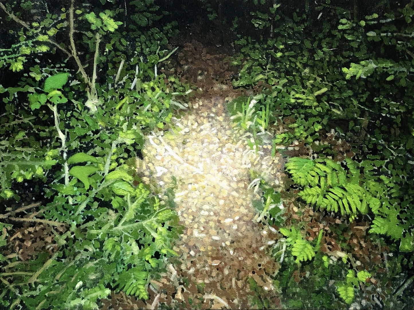 The Circle of Light at my Feet III