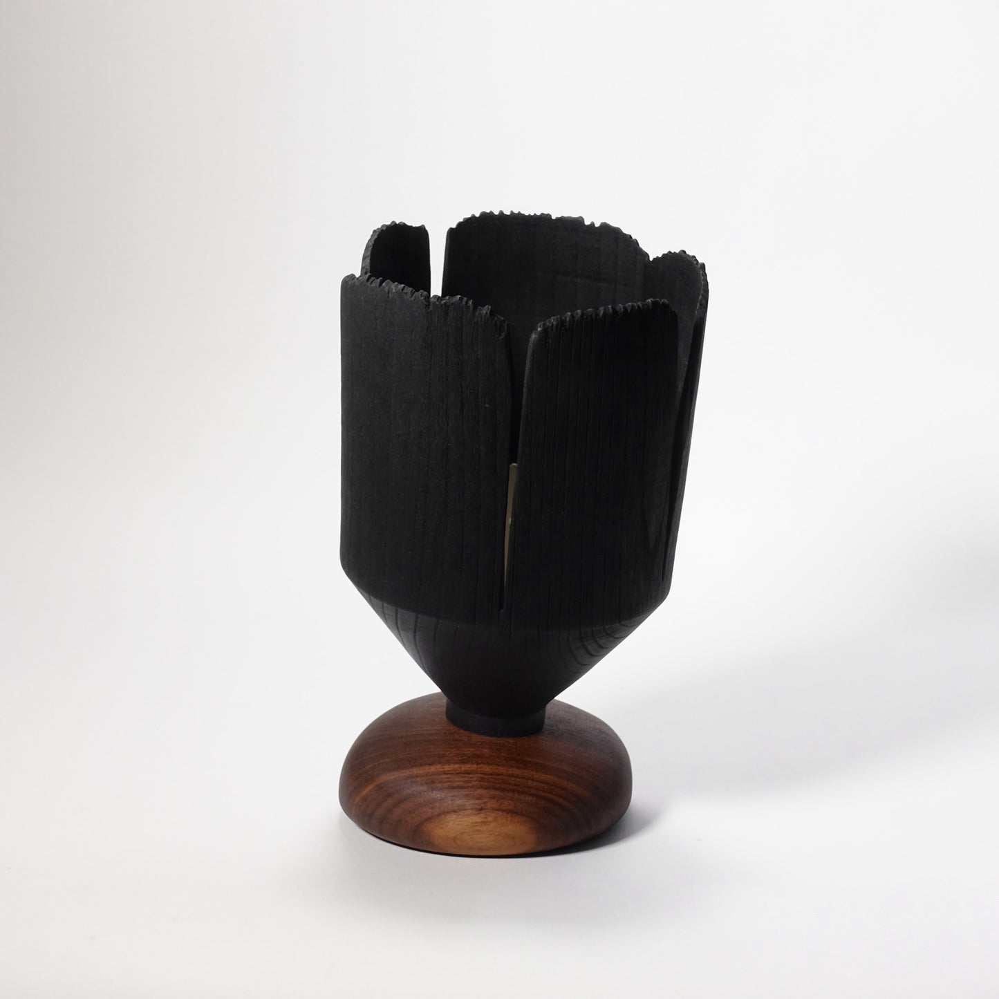 Blooming through adversity II