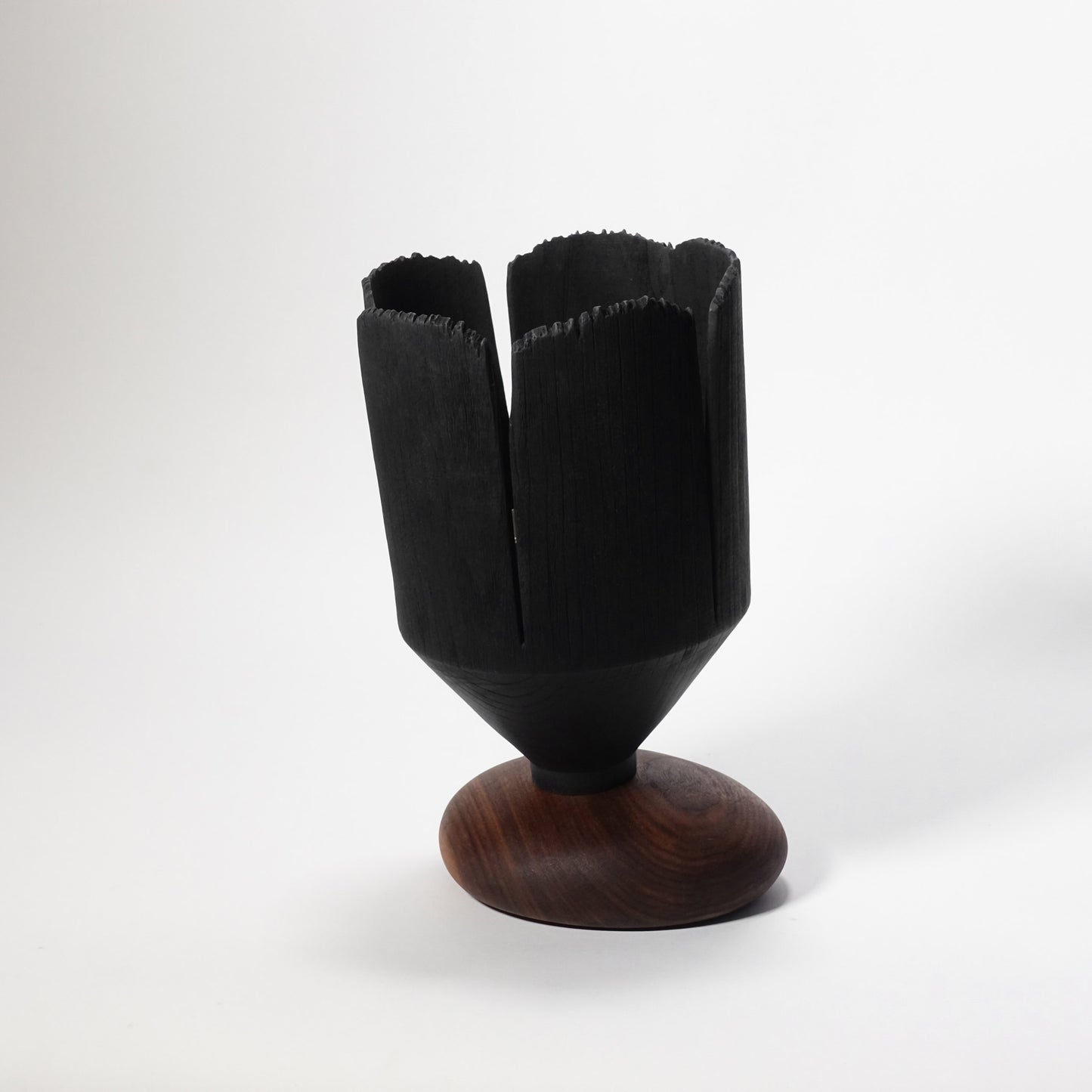 Blooming through adversity II