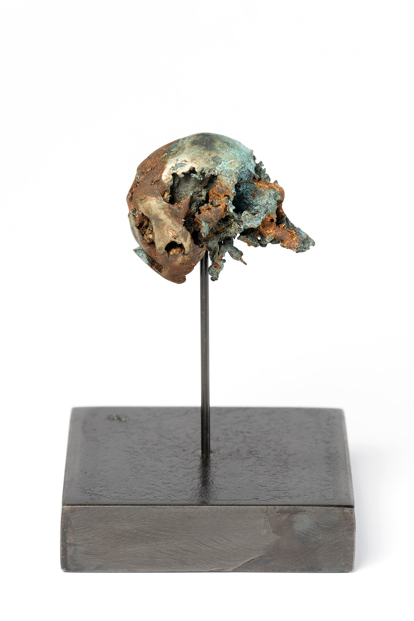 Brothers and Sisters 8