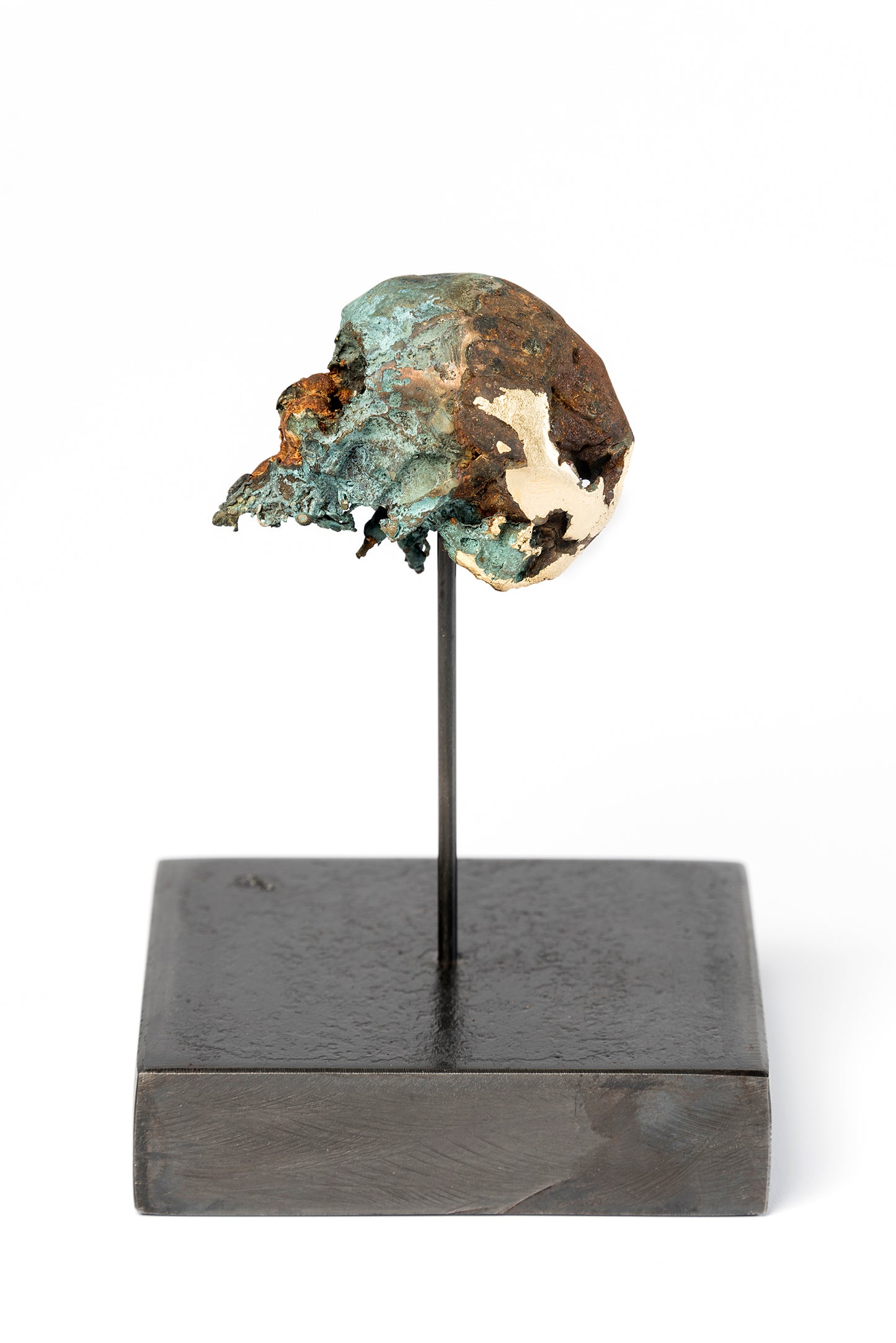 Brothers and Sisters 8