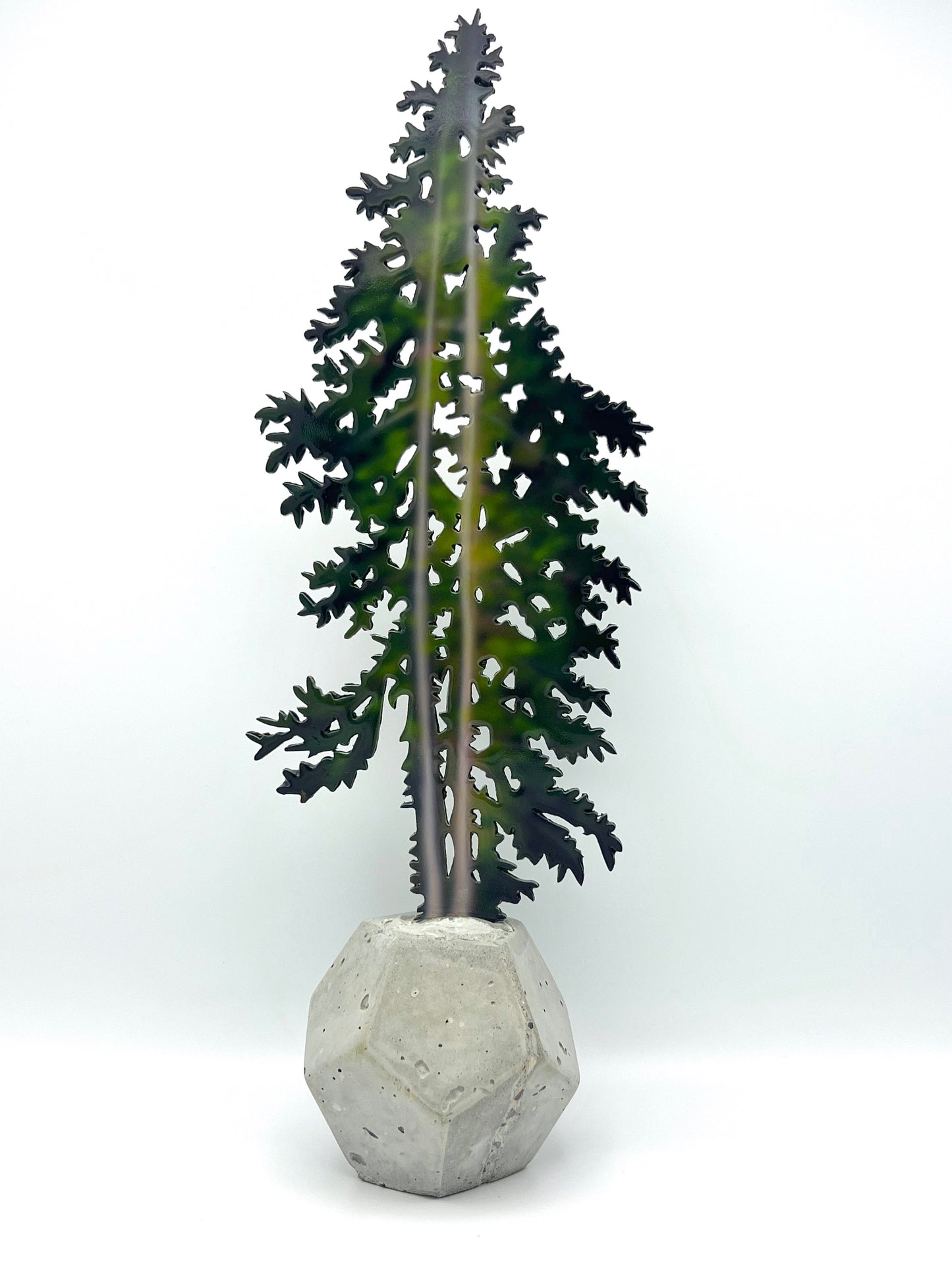 Back of "Fig" by Sheila Kernan