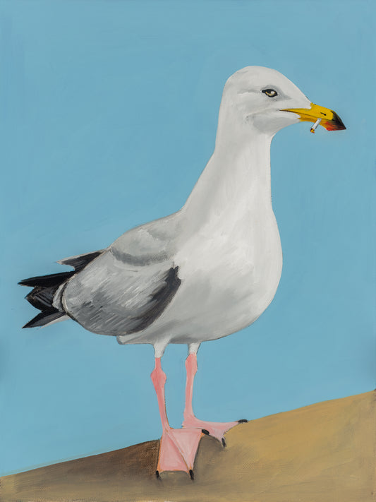 Gull 1 (Herman)