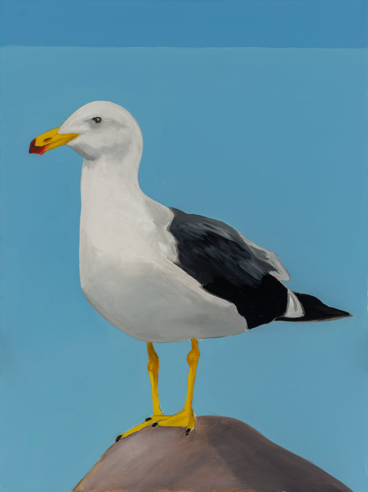 Gull 3 (Ishmael)