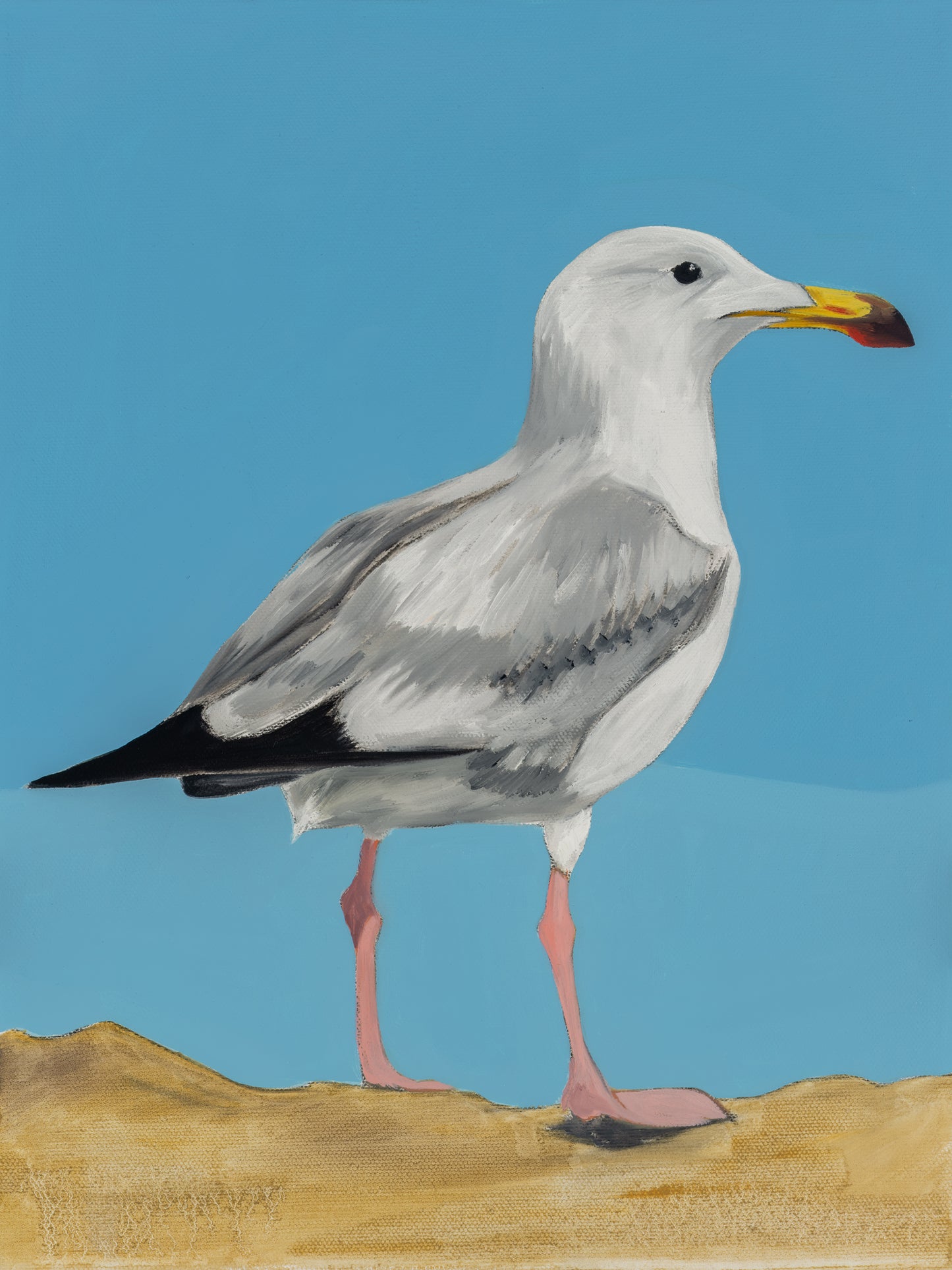 Gull 4 (Stubb)