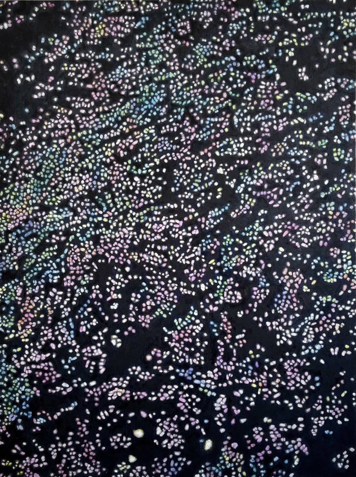 Sun Glitter IV original Canadian art by david kaarsemaker