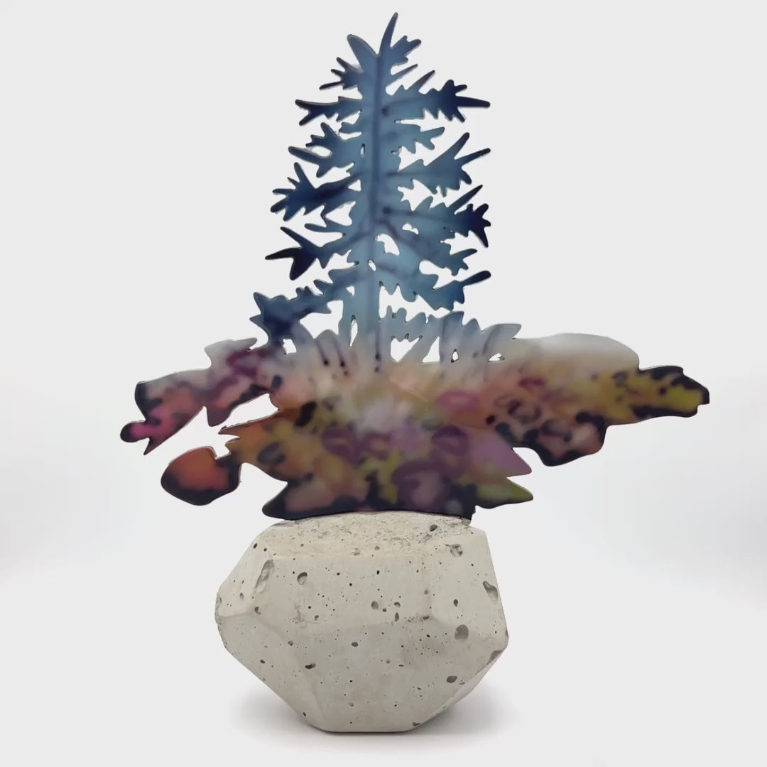 Kiki by Sheila Kernan