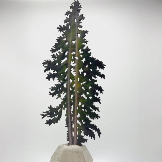 Fig by Sheila Kernan