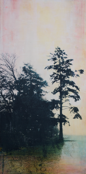The Cedar & Harvest Moon by Lori Bagneres