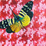 Insect 1 by Mary Lottridge