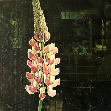 Lupin 1 by Mary Lottridge