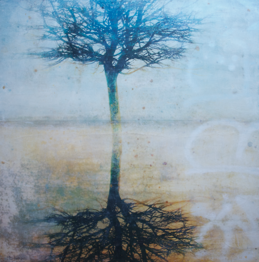 Mirror Mirror  original Canadian art by Lori Bagneres