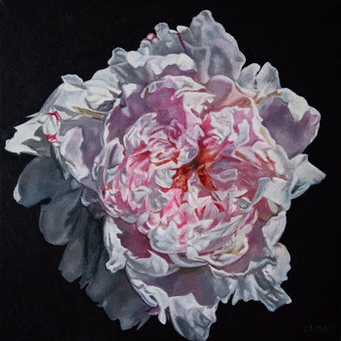 Peony Portrait 2 by Robert Lemay