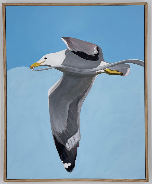 Philippe In Flight by Donovan Rose