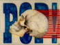Pop Skull by Jay Hanscom