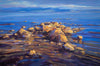 Rathtrevor rock glow by Charlie Easton