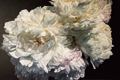 White Peonies by Robert Lemay