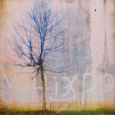 Rust Never Sleeps by Lori Bagneres