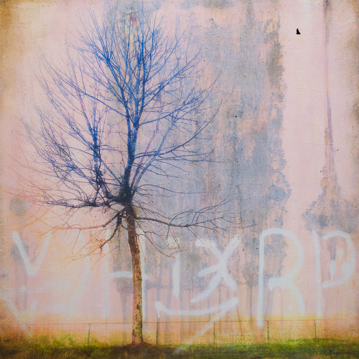 Rust Never Sleeps by Lori Bagneres