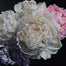 White Peonies original Canadian art by Robert Lemay