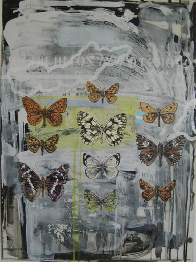 Butterfly Assortment by Mary Lottridge