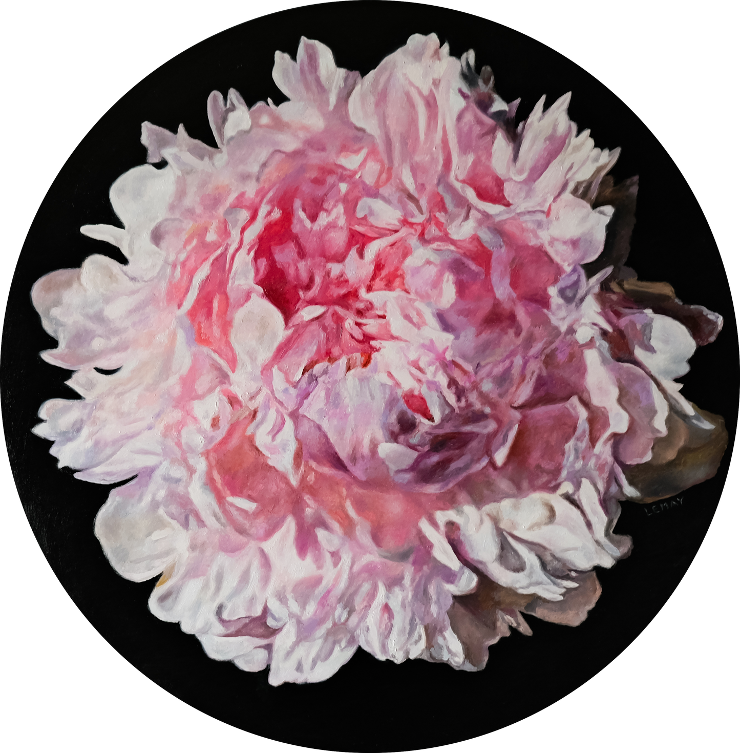 Peony by Robert Lemay